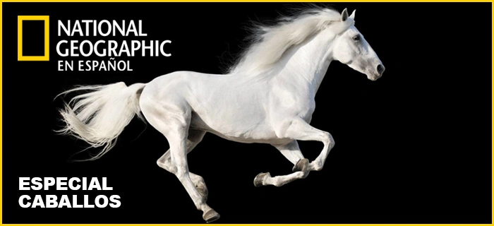 Especial caballos de National Geographic en español