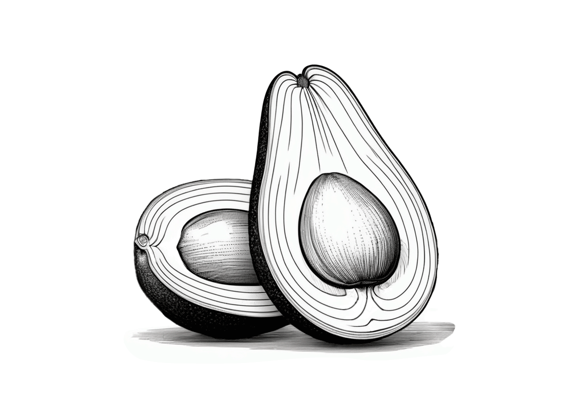 Dibujo de un aguacate para colorear