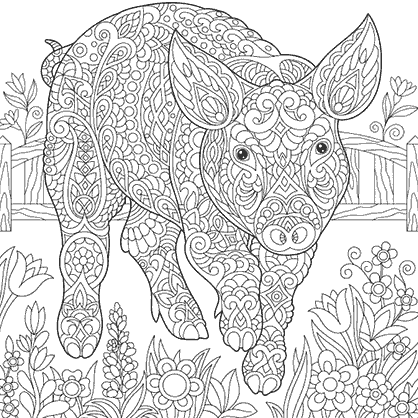 Dibujo para colorear un mandala de un cerdo caminando en una granja con muchas flores