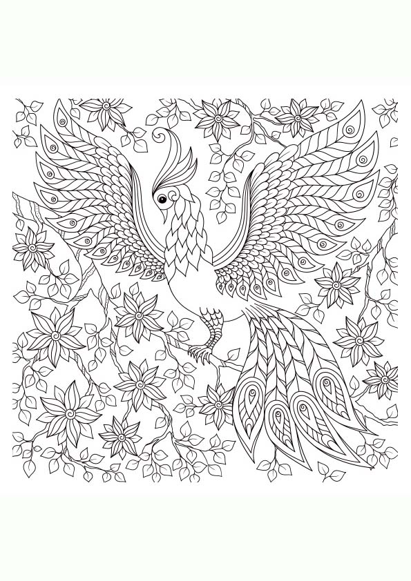Dibujo para colorear mandala de la figura de un pavo real posado en unas ramas y hojas ornamentales
