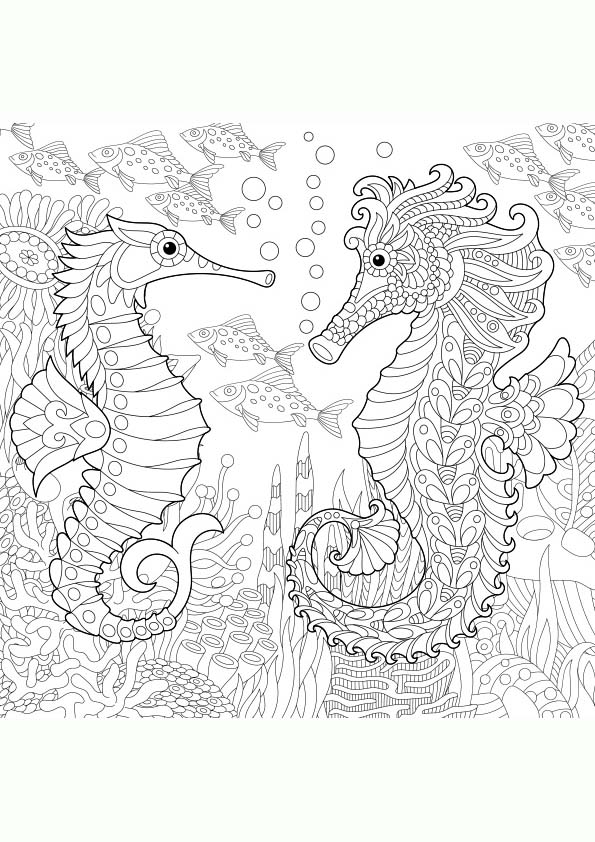 Dibujo para colorear mandala de una iustración de la silueta de dos caballitos de mar en un banco de peces tropicales