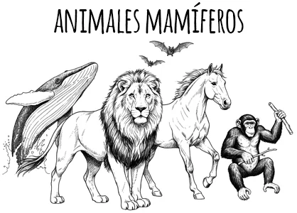 Dibujos de animales mamíferos
