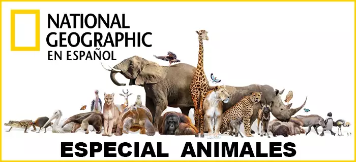 Especial animales de National Geographic en español