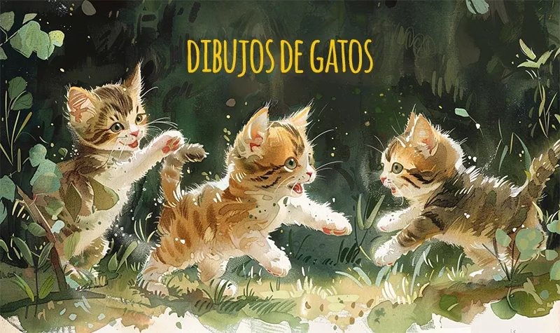 Dibujos de gatos