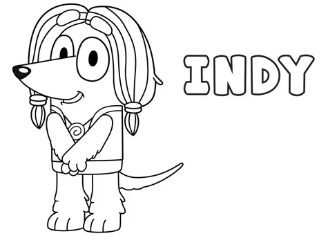 Indy is an Afghan Hound