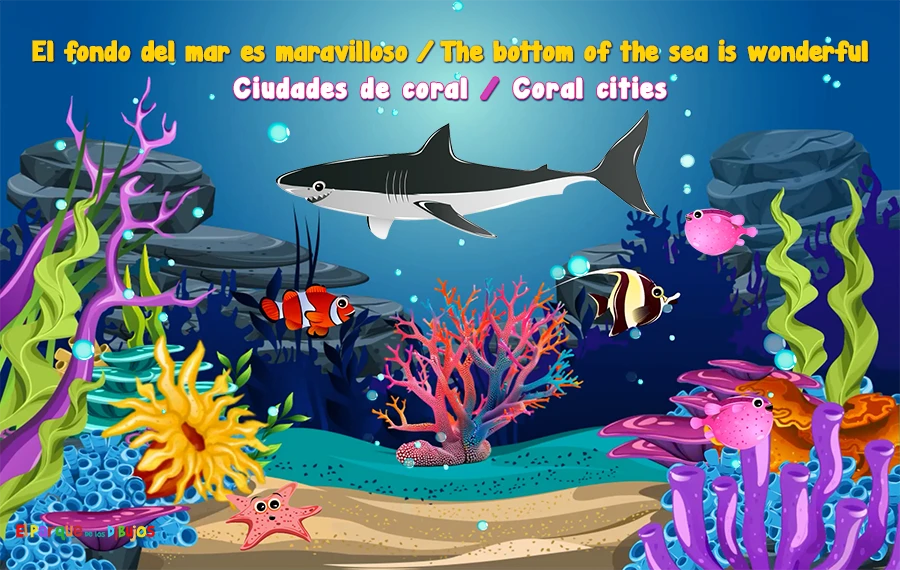 Inglés para niños. Ciudades de coral. Coral cities.