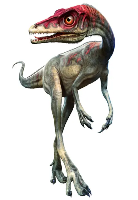 Dinosaur of the species Compsognathus