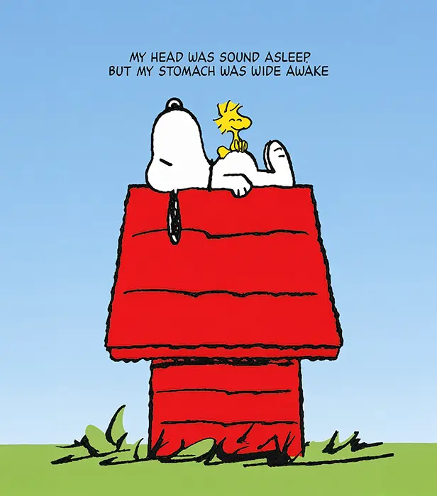 Snoopy the dog and Woodstock the birdSnoopy the dog and Woodstock the bird